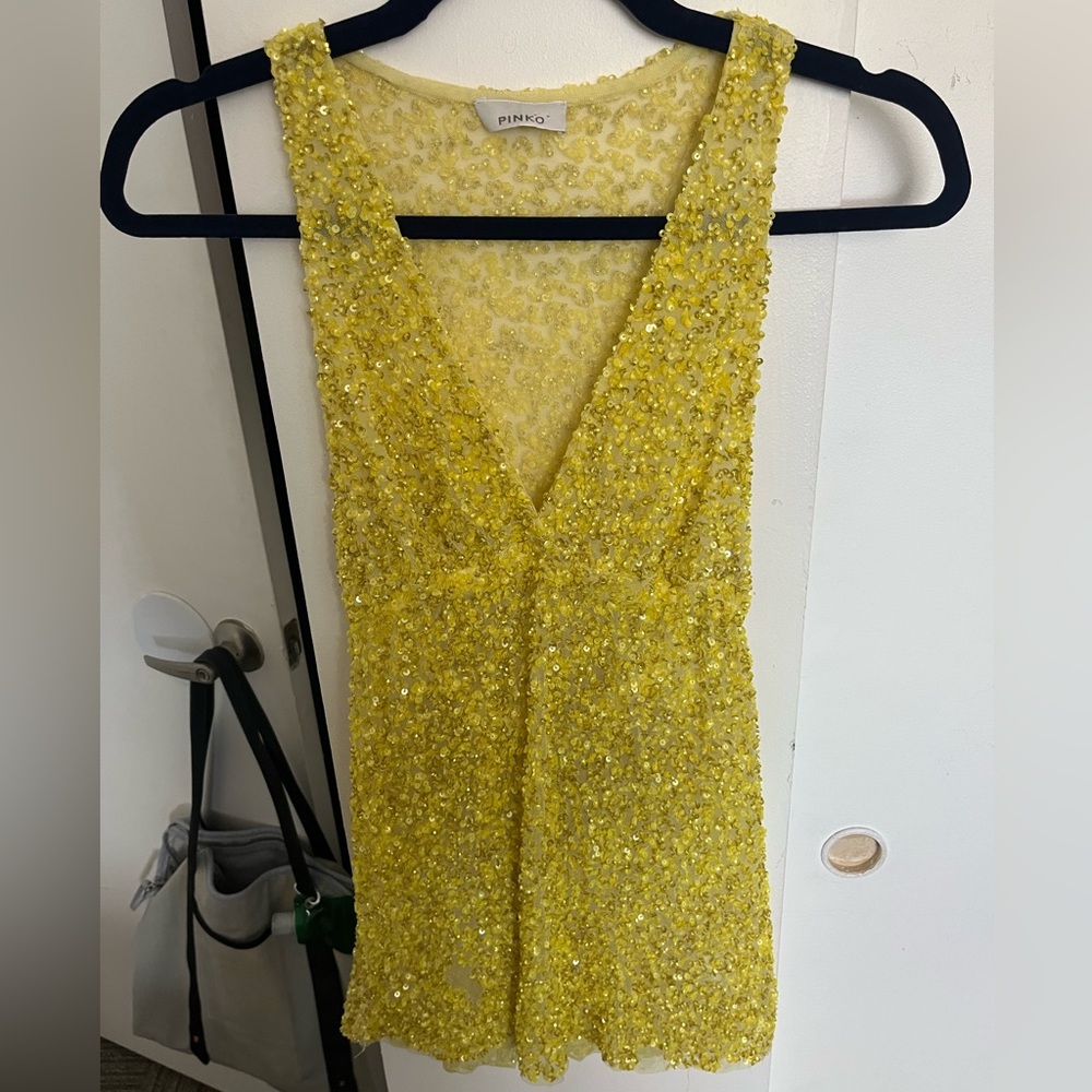 Pinko Modena Top